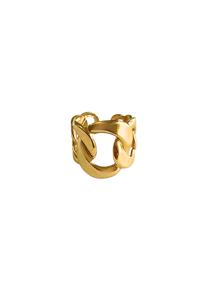 Anillo Holbox