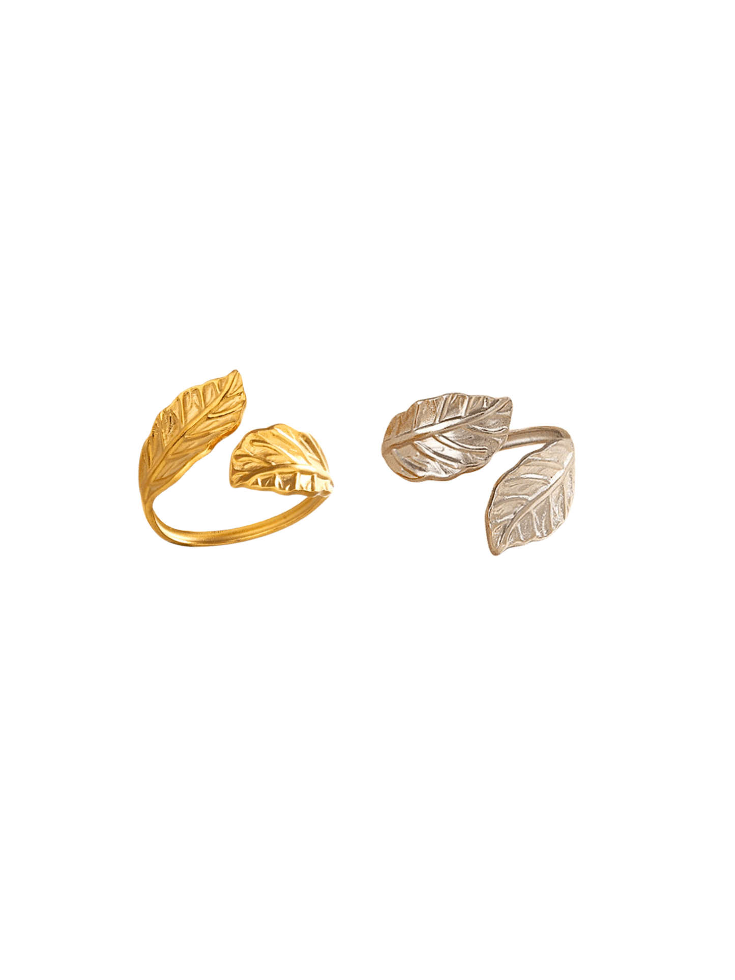 Anillo Laurea