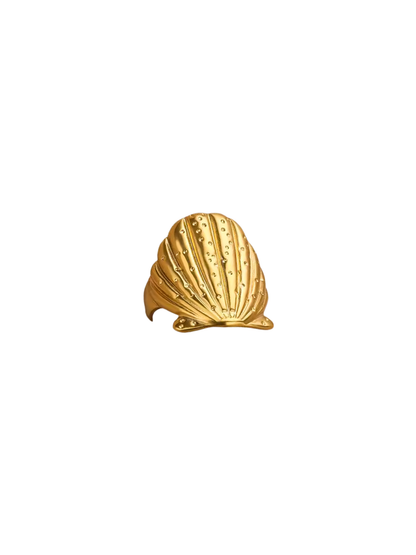 Anillo Marino