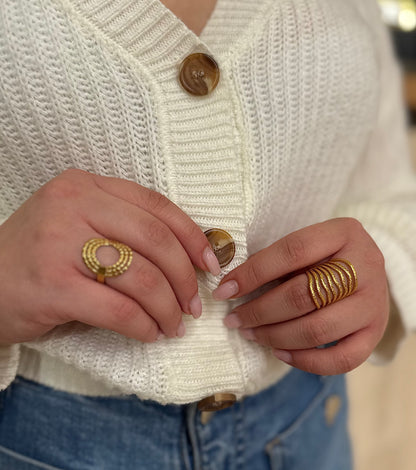 Anillo Leire
